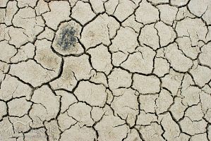 Cracked mud