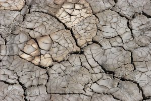 Cracked mud