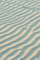 Ripples