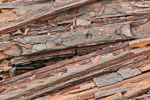 Rusted rails