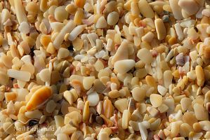 Sand