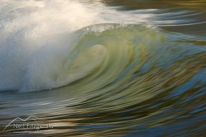 Wave
