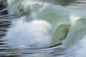 Wave
