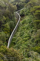 Predator-proof fence
