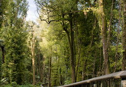 Conservation