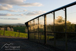 Pest fence
