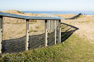 Pest-proof fence