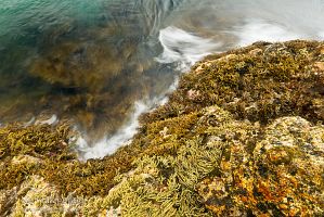 Rocky shore
