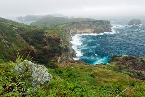 Storm sea