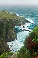Storm-lashed coast of Burgess Island