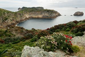 Burgess Island