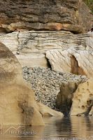 Paturau limestone