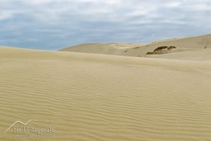 Te Paki sand dunes