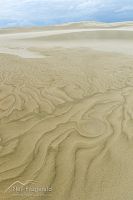 Te Paki sand dunes