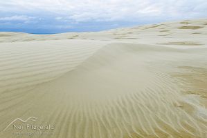 Te Paki sand dunes