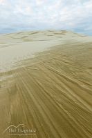 Te Paki sand dunes