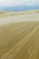 Te Paki sand dunes