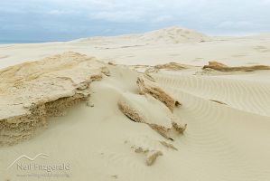 Te Paki sand dunes