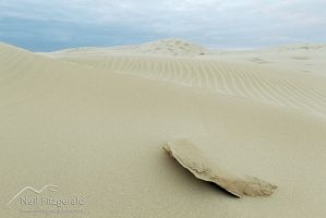 Te Paki sand dunes