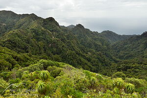 Little Barrier Island