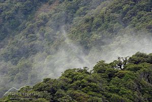 Te Urewera