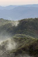Te Urewera