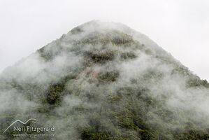 Mountain rain