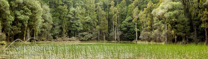 Waihora Lagoon