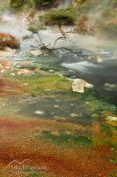 Geothermal stream