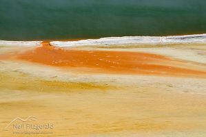 Chanmpage Pool and Artist’s Palette