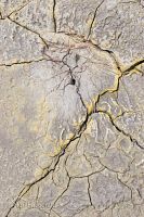 Geothermal mud