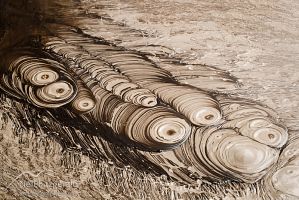 Boiling mud