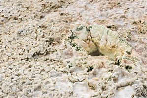 Silica deposits