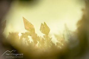 Sulphur crystals