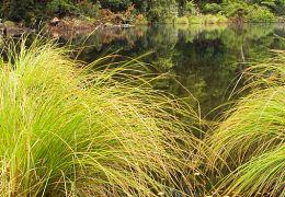 Lakes & wetlands