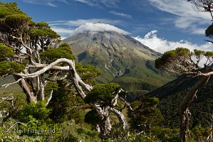 Mt Egmont/Taranaki