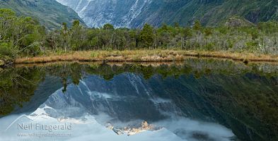 Peters Pool reflection