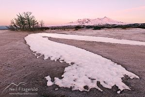 Rangipo Desert