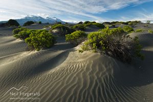 Hebe dunes