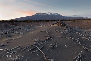 Rangipo and Ruapehu