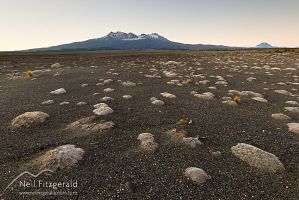 Rangipo Desert