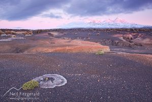 Rangipo Desert