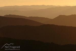 Sunrise hills