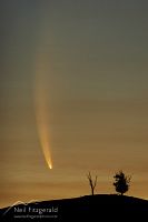 Comet McNaught