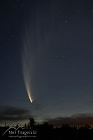 Comet McNaught