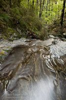 Cannister Creek