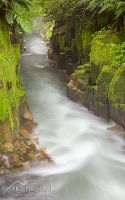 Te Whaiti Nui A Toi Canyon