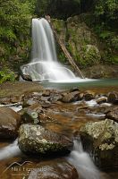 Waiau Falls 