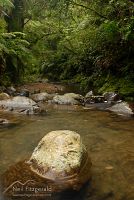 Waiau Stream 