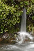 Whakapapanui Stream